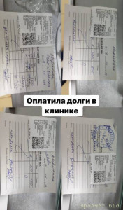 Помощь бездомным животным - IMG_3213.jpeg