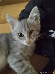 Помогите Нужна помощь  - IMG_20230822_132120.jpg