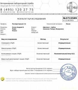 Помогите Нужна помощь  - IMG-20230822-WA0000.jpg