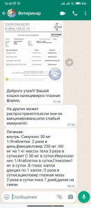 Помогите Нужна помощь  - Screenshot_2023-08-22-16-46-05-344_com.whatsapp.jpg