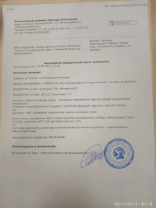 Шельма, Долг в клинику 2435, помогите закрыть. - a46f57a9-8cef-4e0f-bf28-7575034be686.jpeg