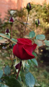 Злые люди - 1000035172.jpg