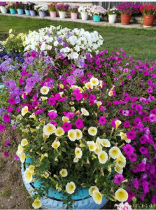 Злые люди - Screenshot_20231005_224539_edit_813688333260903.jpg