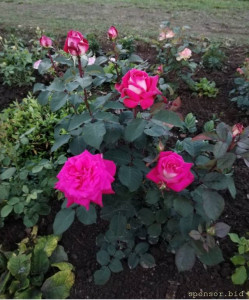 Злые люди - Screenshot_20231005_231301_edit_815320861132520.jpg