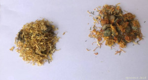 Помогите на травы для здоровья 127807; - IMG_2483.jpeg