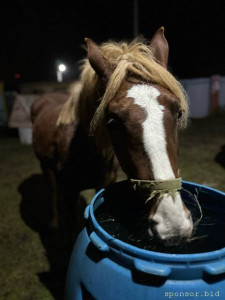 Продолжаю флудить никому не интересной фигней ^^ - iBhyVv8hFU8.jpg