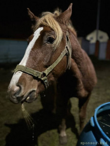 Продолжаю флудить никому не интересной фигней ^^ - Juq3LdAugPs.jpg