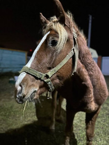 Продолжаю флудить никому не интересной фигней ^^ - TzTVBHsHhA4.jpg