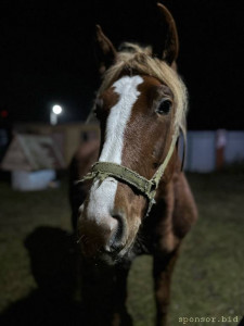 Продолжаю флудить никому не интересной фигней ^^ - uR-_PwuGikA.jpg