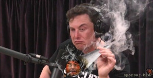 Помощь семье  - 1648326629_23-kartinkof-club-p-mem-ilon-mask-kurit-23.jpg