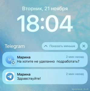 Помогу девушкам зарабатывать из дома - IMG_0244.jpeg