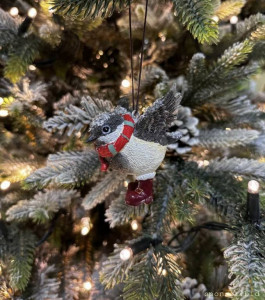 Ноутбук для работы - IMG_0422.jpeg