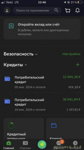 ПОМОГИТЕ ВЫПЛАТИТЬ ДОЛГИ - IMG_9733.jpg