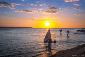 Вот тут можно добавить к коментарии к Вашим фото или документам, возможно у Вас не погрузились фото, так как разрешенный размер на этом форуме превышает 15 МБ