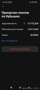 Долг в Тинькофф