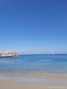 Нужна помощь с жильем .откуда такие цены на жилье ? - 20240120_100704.jpg