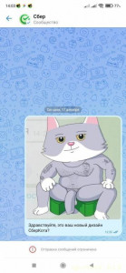 Четкий кот)))