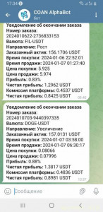 Ищу инвестиции для проекта - IMG_20240213_222807_475.jpg