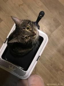 Это мы здоровые