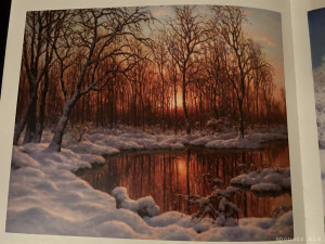 Здравствуйте добрые люди - IMG_1411.jpeg