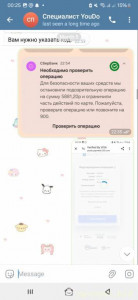 Нужеа помощь деньгами, обманули мошенники - Screenshot_20240307_002516_Telegram.jpg