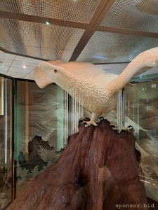 Здравствуйте добрые люди - IMG-20240303-WA0086.jpg