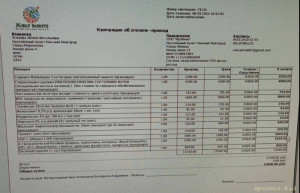 У кролика операция. Не хватает денег - IMG_20240316_215235.jpg