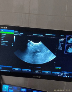 У кролика операция. Не хватает денег - IMG_20240316_215554.jpg