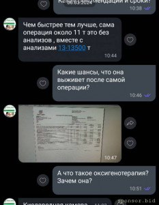 У кролика операция. Не хватает денег - IMG_20240321_234216.jpg