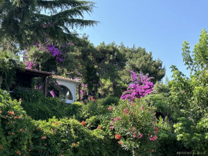 День рождение . - IMG_4229.jpeg