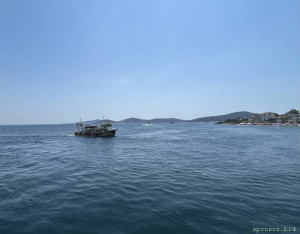 День рождение . - IMG_4222.jpeg