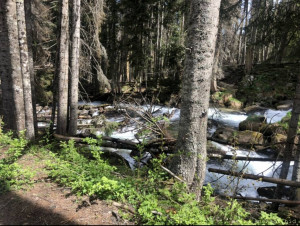 Прошу оказать безвозмездную финансовую помощь. - IMG_4480.jpeg