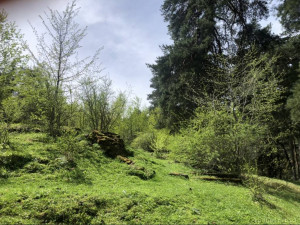 Прошу оказать безвозмездную финансовую помощь. - IMG_4481.jpeg