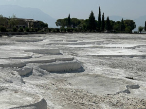 Прошу оказать безвозмездную финансовую помощь. - IMG_4605.jpeg