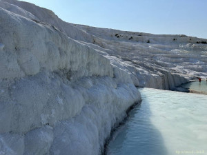 Прошу оказать безвозмездную финансовую помощь. - IMG_4585.jpeg