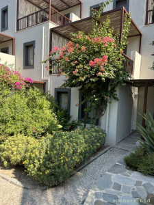 Очень сильно нужна помощь - IMG_4663.jpeg