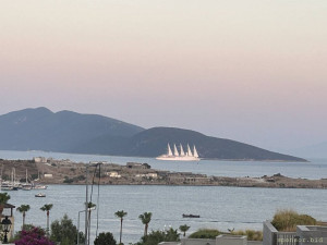 Очень сильно нужна помощь - IMG_4688.jpeg