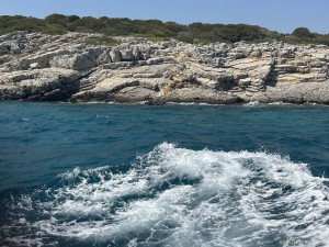 Очень сильно нужна помощь - IMG_4741.jpeg