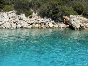 Очень сильно нужна помощь - IMG_4733.jpeg