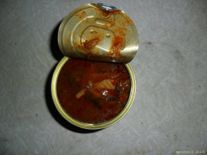 Уважаемые читатели. Пришлите хоть 50 рублей инвалиду на покушать - SAM_3545.JPG