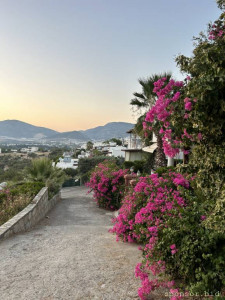 Прошу помощи у людей. Мало ли - IMG_4696.jpeg