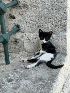 Прошу помощи у людей. Мало ли - IMG_4357.jpeg