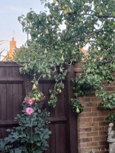 Помогите пожалуйста кто может - 20240730_194755.jpg