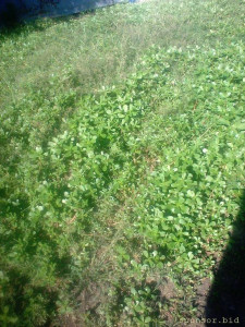 Собираюсь на СВО - фото0125.jpg