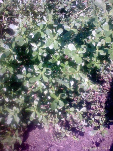 Собираюсь на СВО - фото0126.jpg