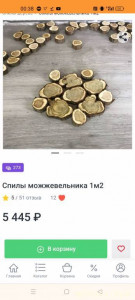 Здравствуйте, в поиске совета или спонсора а вдруг... в небольшой жизненной ситуации. - Screenshot_2024-08-25-00-38-35-03_40deb401b9ffe8e1df2f1cc5ba480b12.jpg