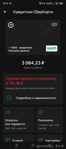 Развитие малого бизнеса и финансофые проблемы - photo_3_2024-08-27_02-52-01.jpg