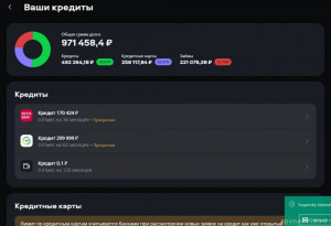 Развитие малого бизнеса и финансофые проблемы - 2024-08-27_02-53-26.jpg