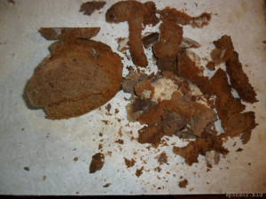 Уважаемые читатели. Пришлите хоть 50 рублей инвалиду на покушать - SAM_3650.JPG