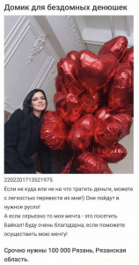 Домик для бездомных денюшек - IMG_5434.jpeg